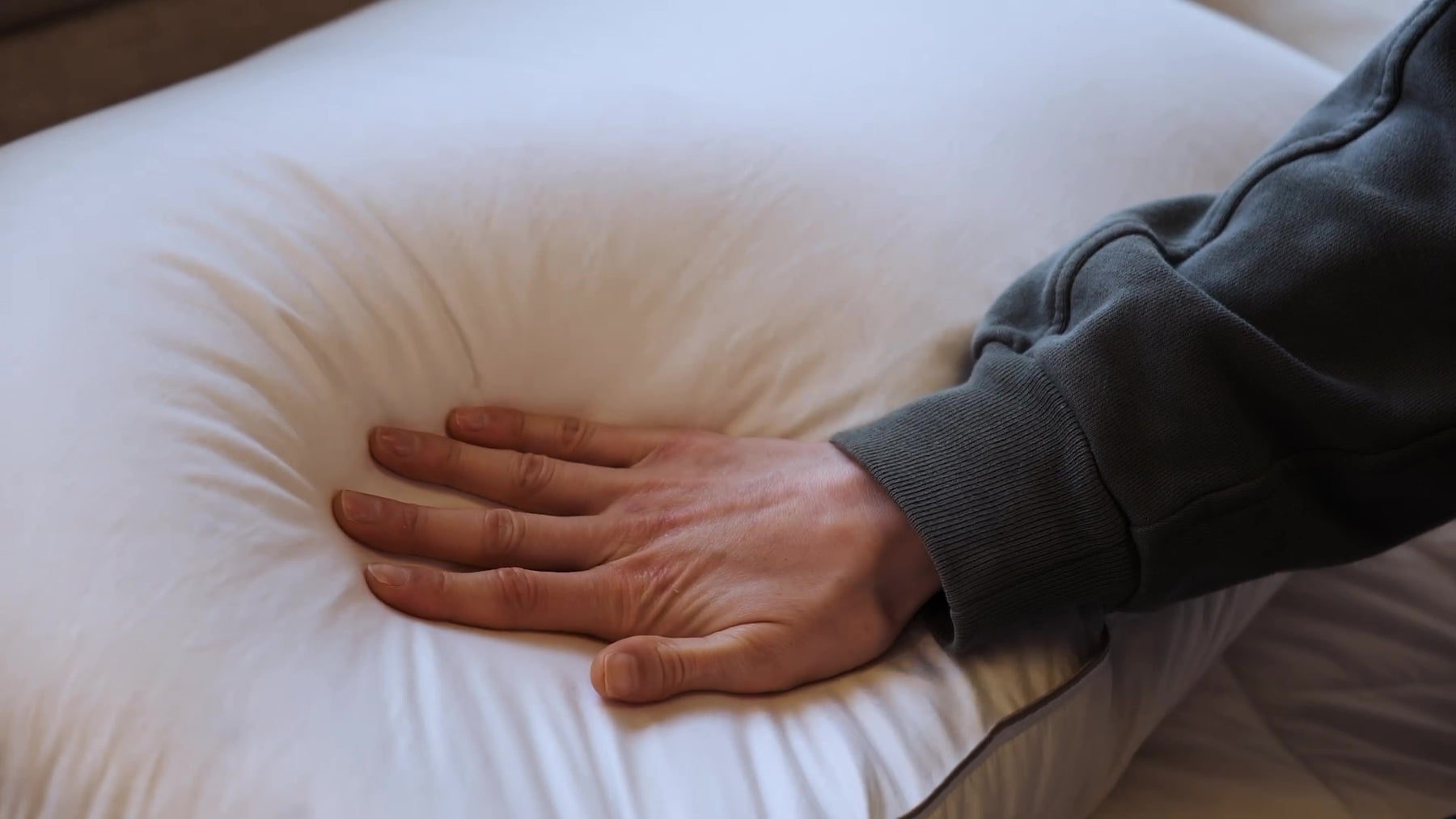 Stumptown Down Pillow