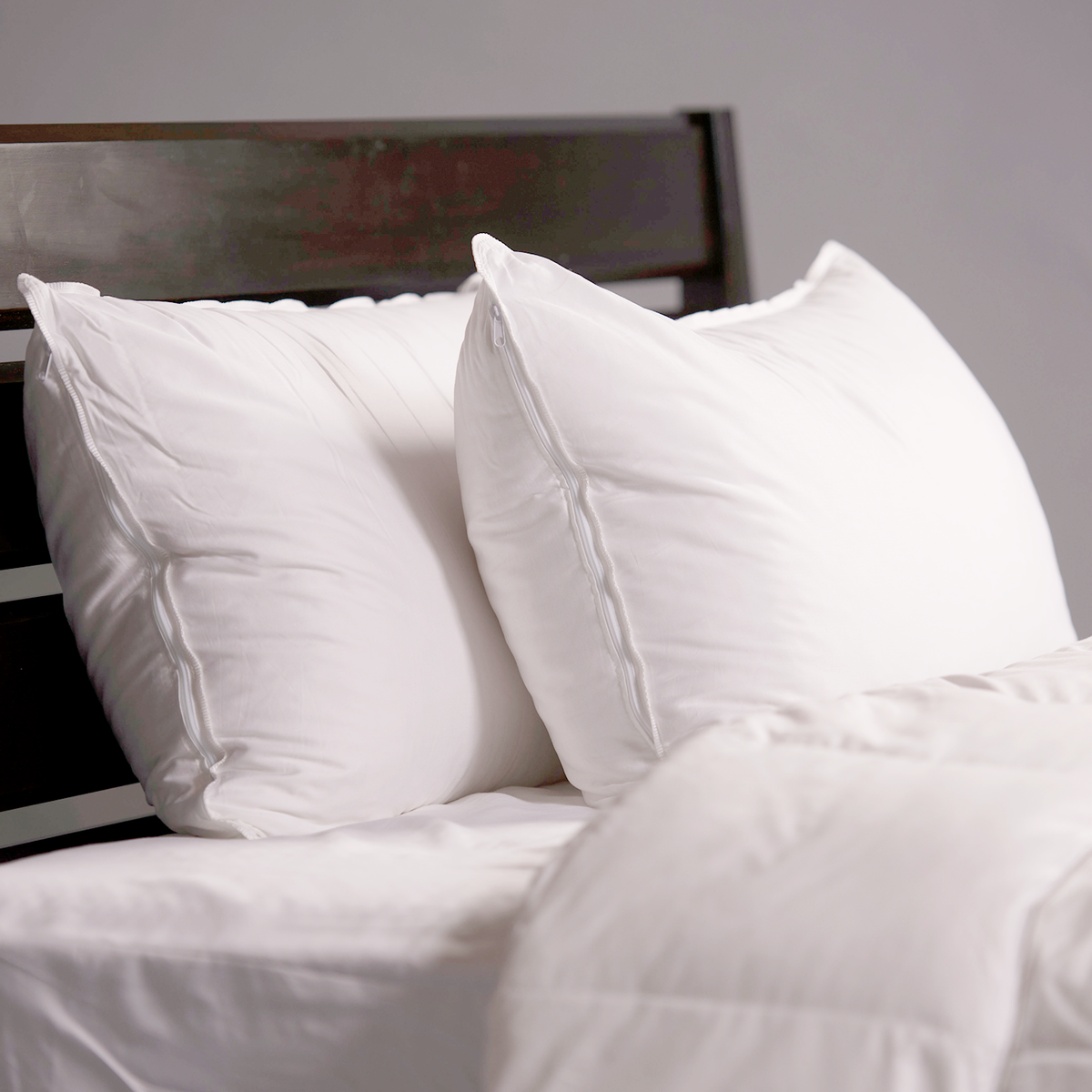 Stumptown Shredded Latex Pillow