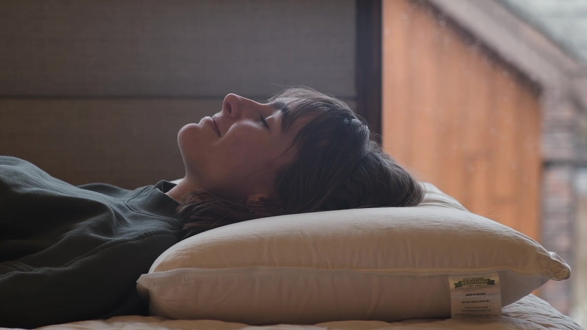 Stumptown Solid Latex Pillow