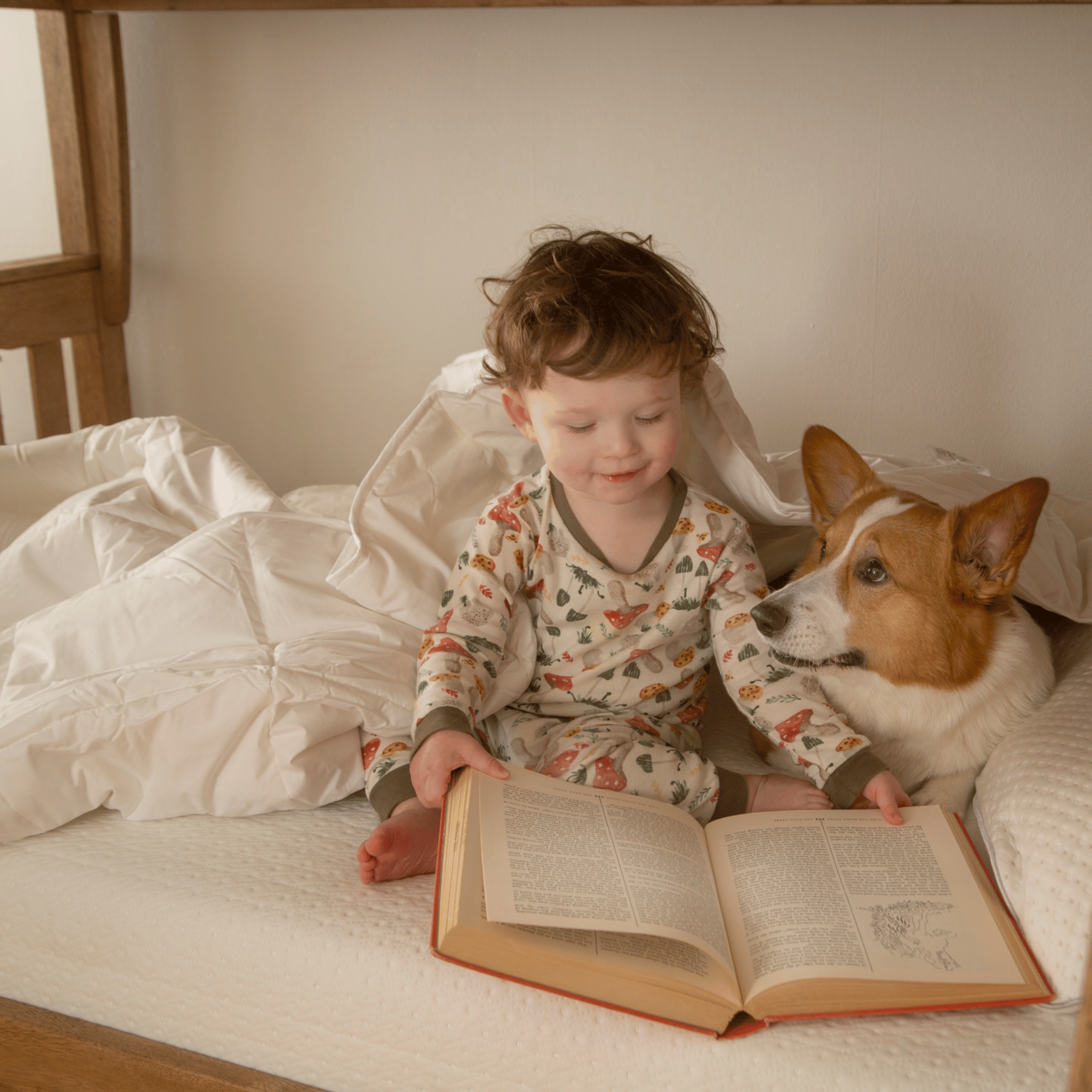 Stumptown Juniper Mattress