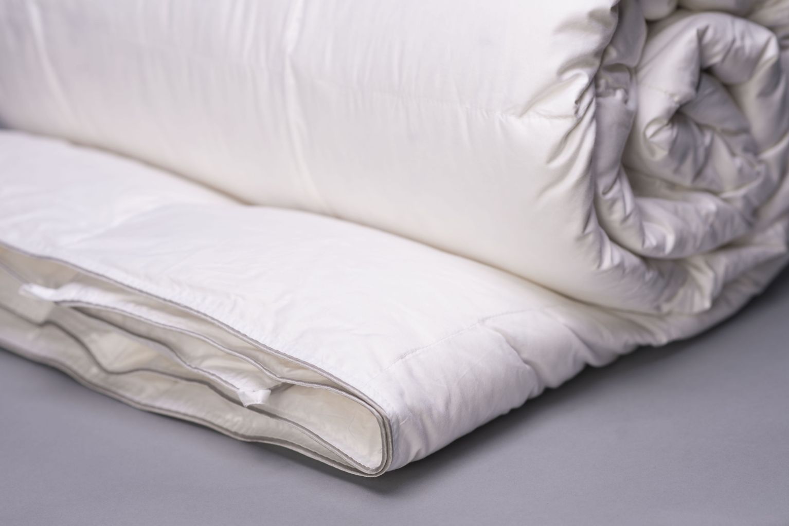 Stumptown Down Comforter