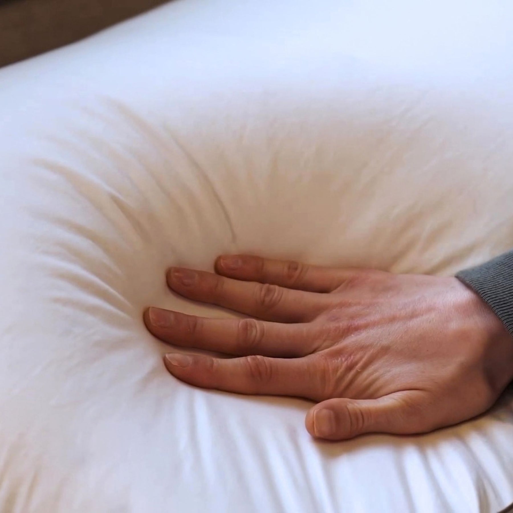 Stumptown Down Pillow