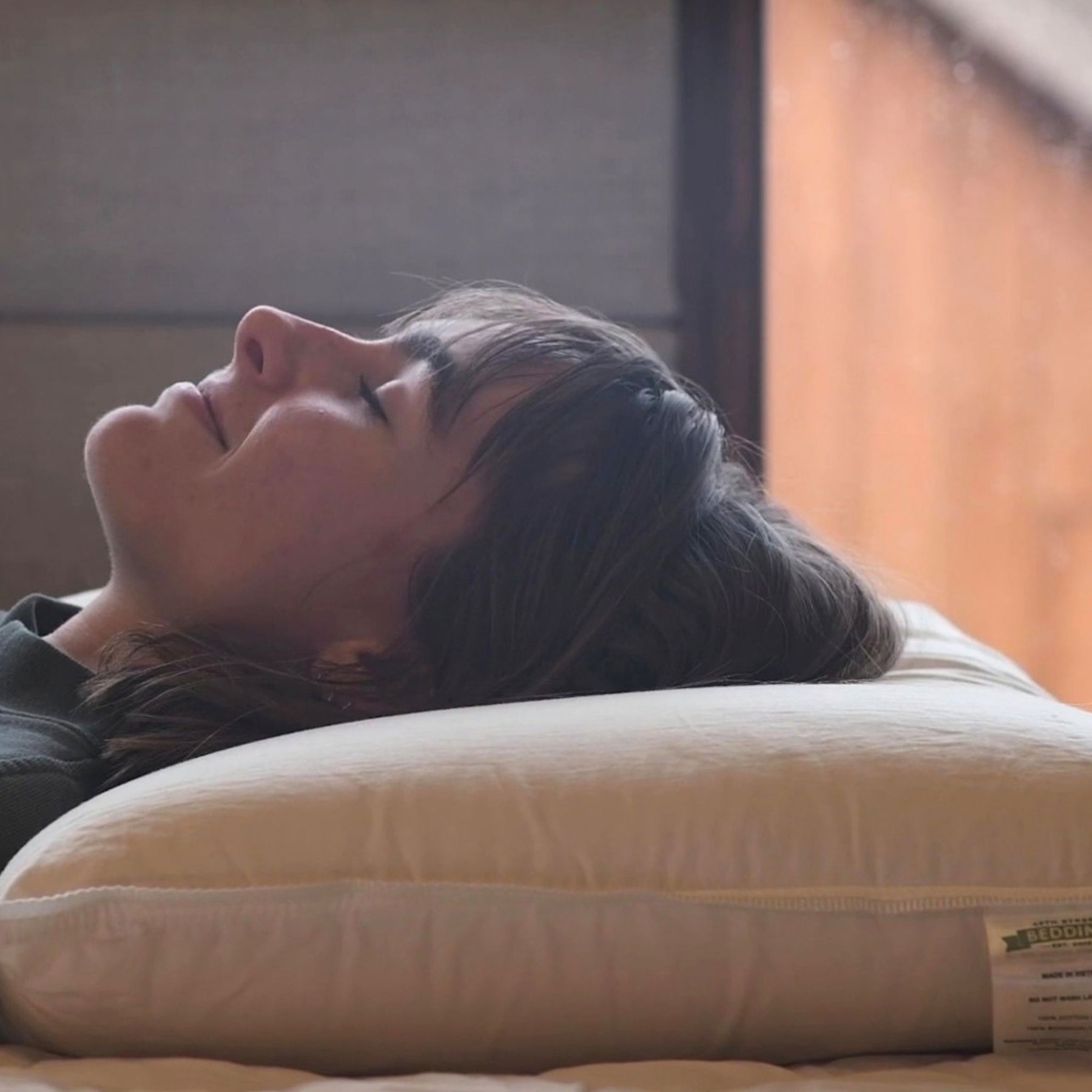 Stumptown Solid Latex Pillow