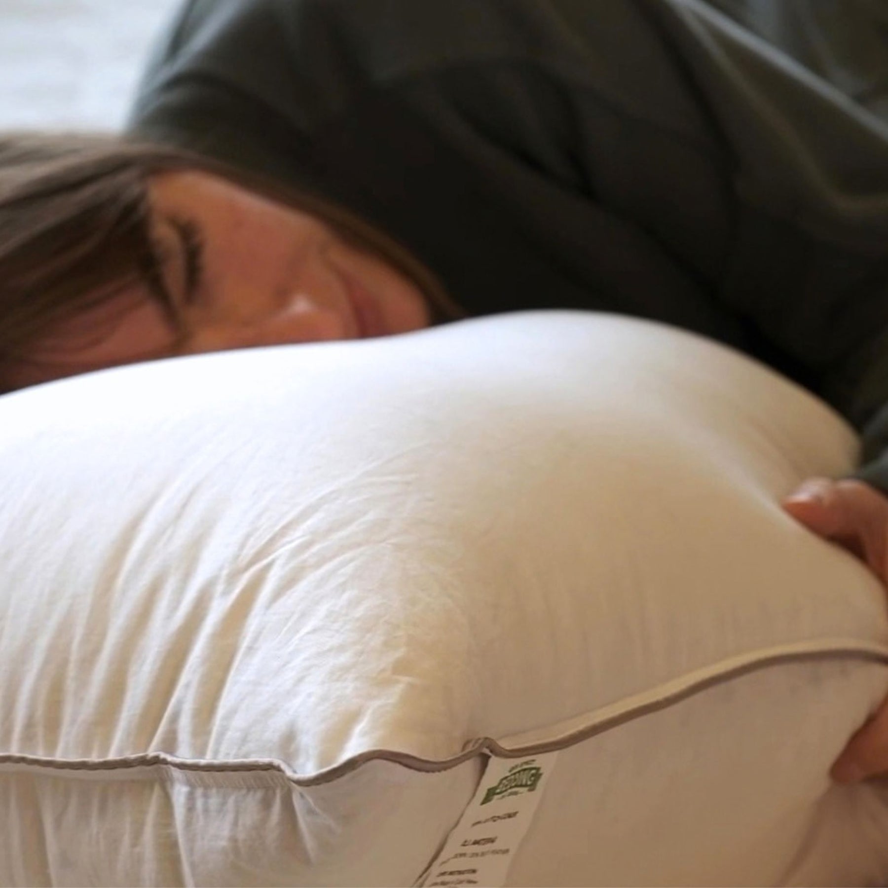 Stumptown Down Pillow