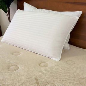 Stumptown Solid Latex Pillow