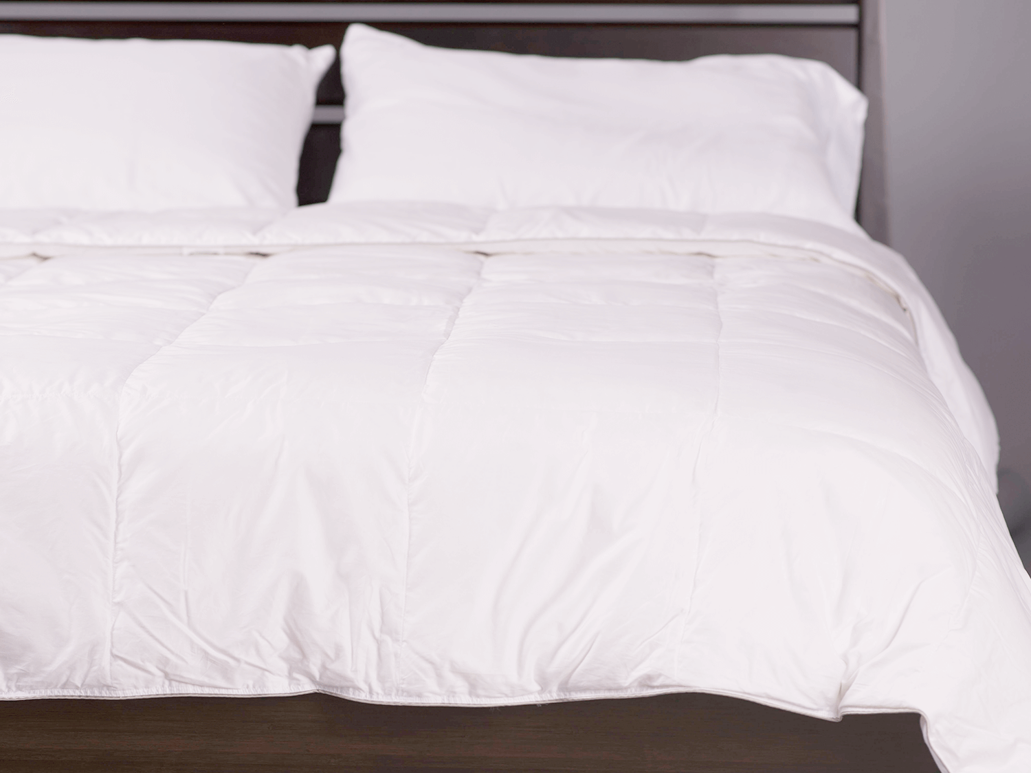 Stumptown Down Comforter