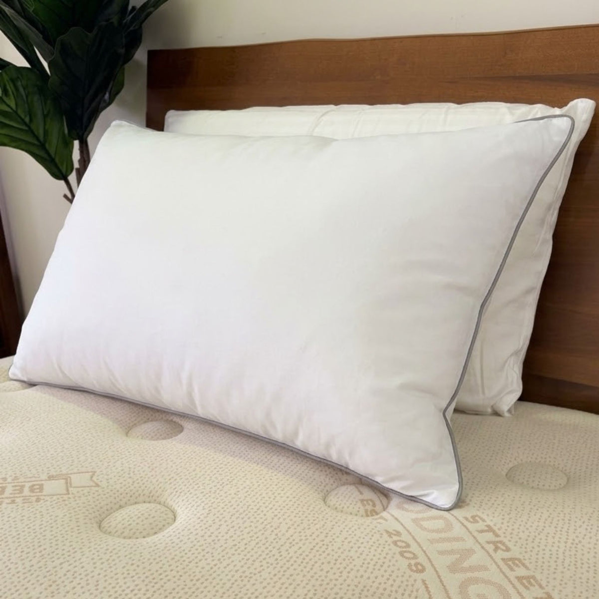 Stumptown Down Pillow